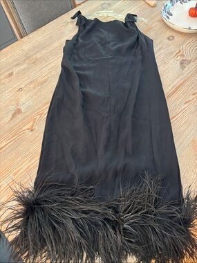 Authentic vintage flapper dress with ostrich feather along hemline.